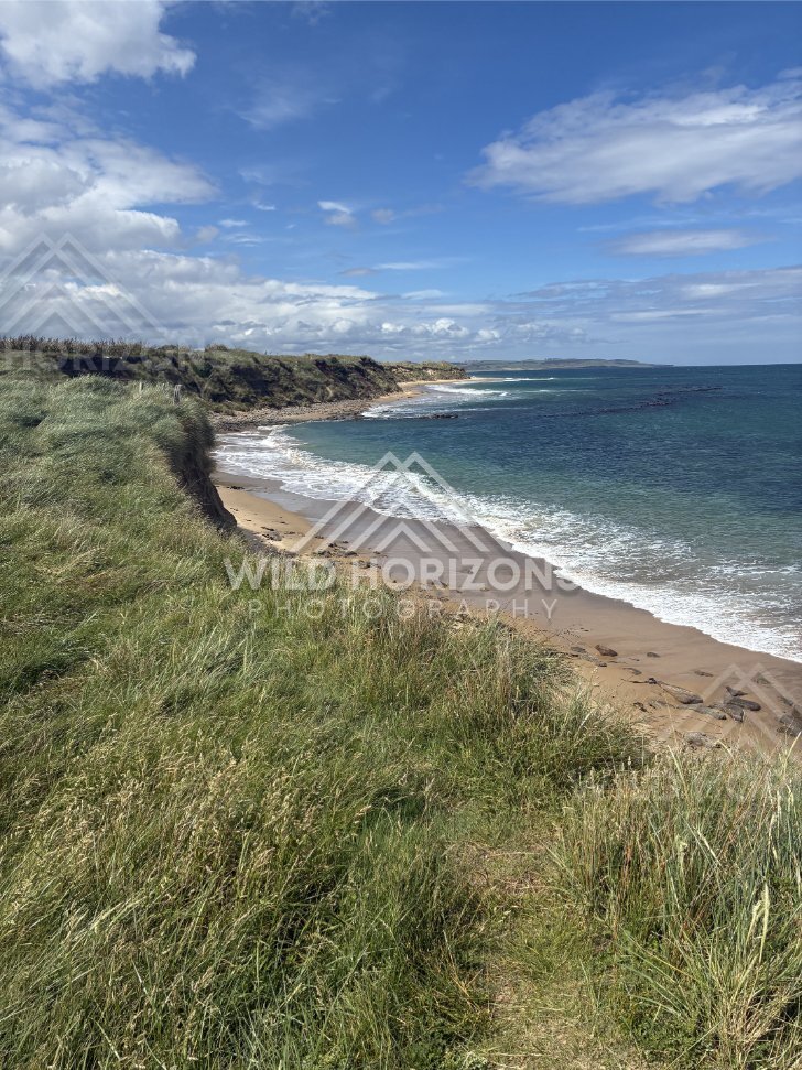 Clifftop view of surf lines curling along a sandy beach. Catlins Coast, New Zealand