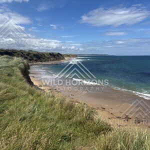 Windy grassland lookout above a long curving shoreline. Catlins Coast, New Zealand