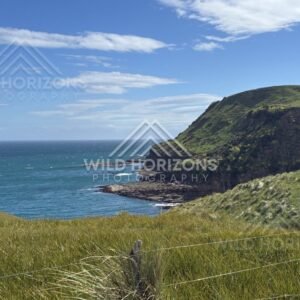Grassy Headland Above Rocky Shoreline, The Catlins, New Zealand