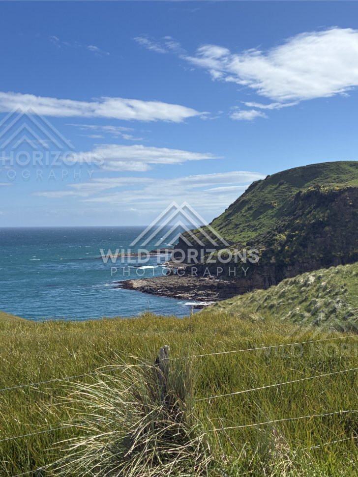 Grassy Headland Above Rocky Shoreline, The Catlins, New Zealand