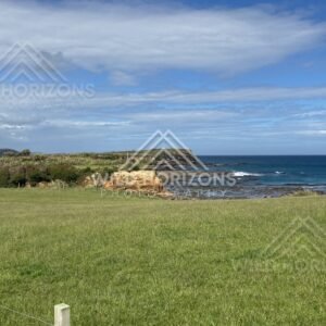 Green Pasture Looking Over Rock Shelf Coastline, The Catlins, New Zealand