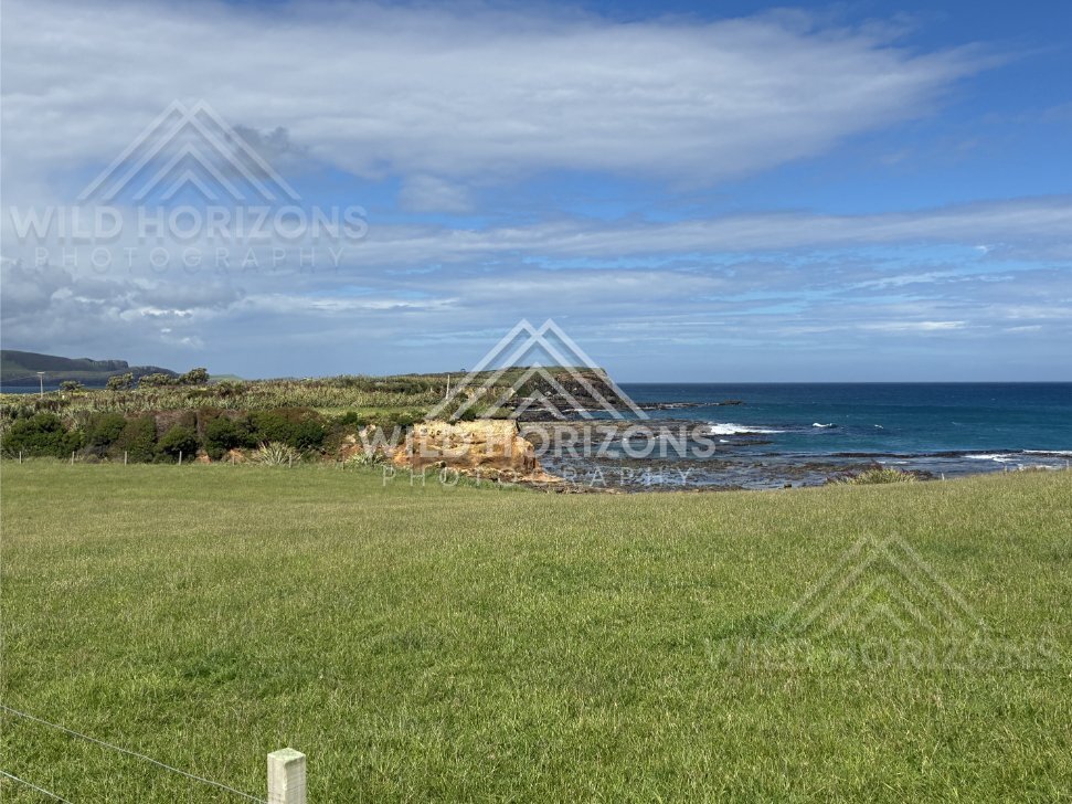 Green Pasture Looking Over Rock Shelf Coastline, The Catlins, New Zealand