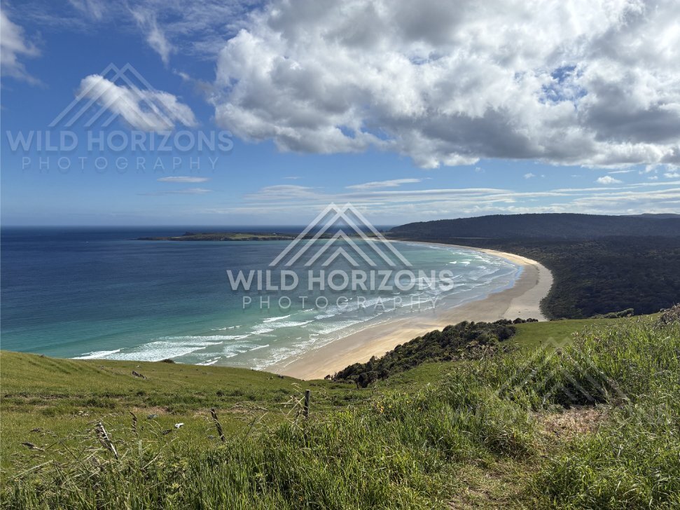 Sweeping Surf Bay and Long Sandy Beach, The Catlins, New Zealand