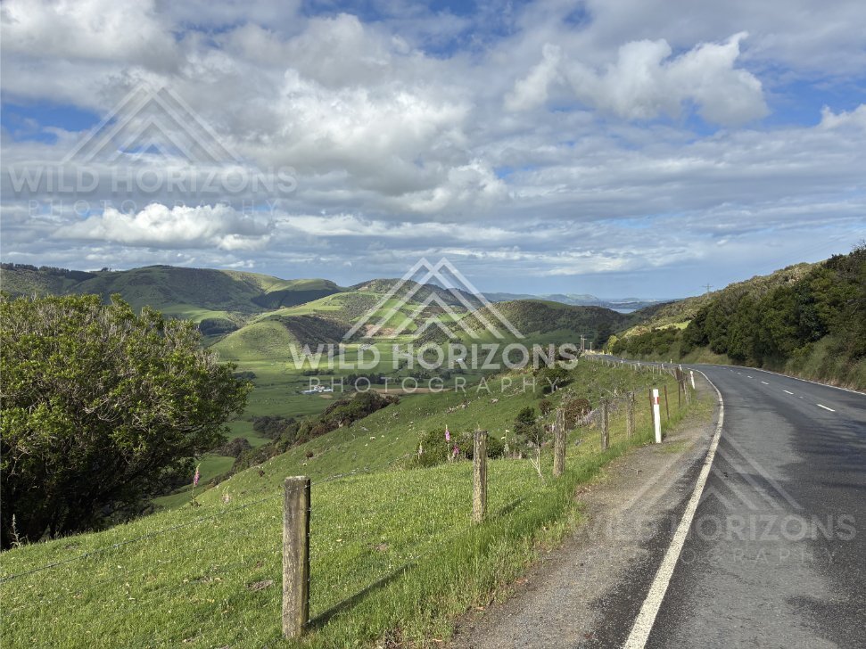 Winding Coastal Road Through Green Hills, The Catlins, New Zealand