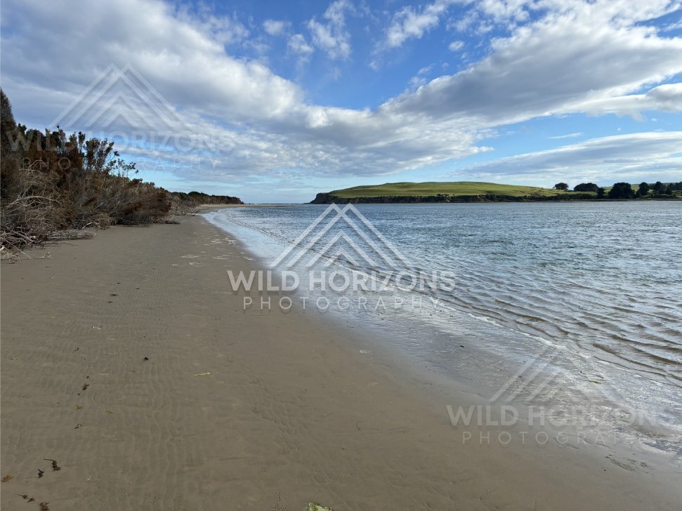 Quiet Estuary Shoreline With Sand and Calm Water, Surat Bay, New Zealand