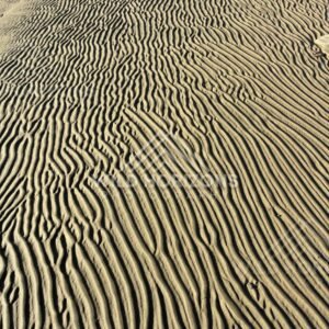 Close-Up Pattern of Wind-Rippled Sand, Surat Bay, New Zealand