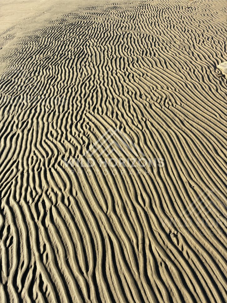 Close-Up Pattern of Wind-Rippled Sand, Surat Bay, New Zealand