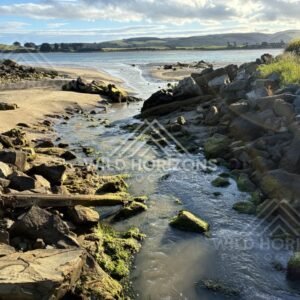 Small Stream Cutting Through Beach Rocks to Estuary, Surat Bay, New Zealand