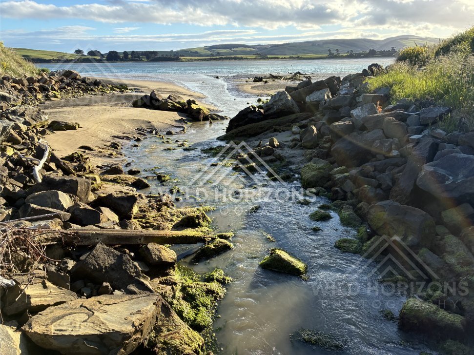 Small Stream Cutting Through Beach Rocks to Estuary, Surat Bay, New Zealand