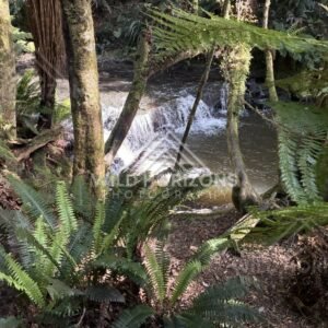 Small waterfall cascading into a mossy forest pool. Catlins Forest, New Zealand