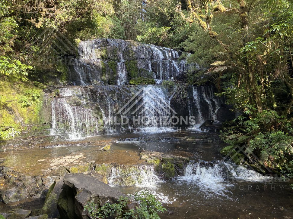 Tiered waterfall framed by lush native bush. Catlins Forest, New Zealand