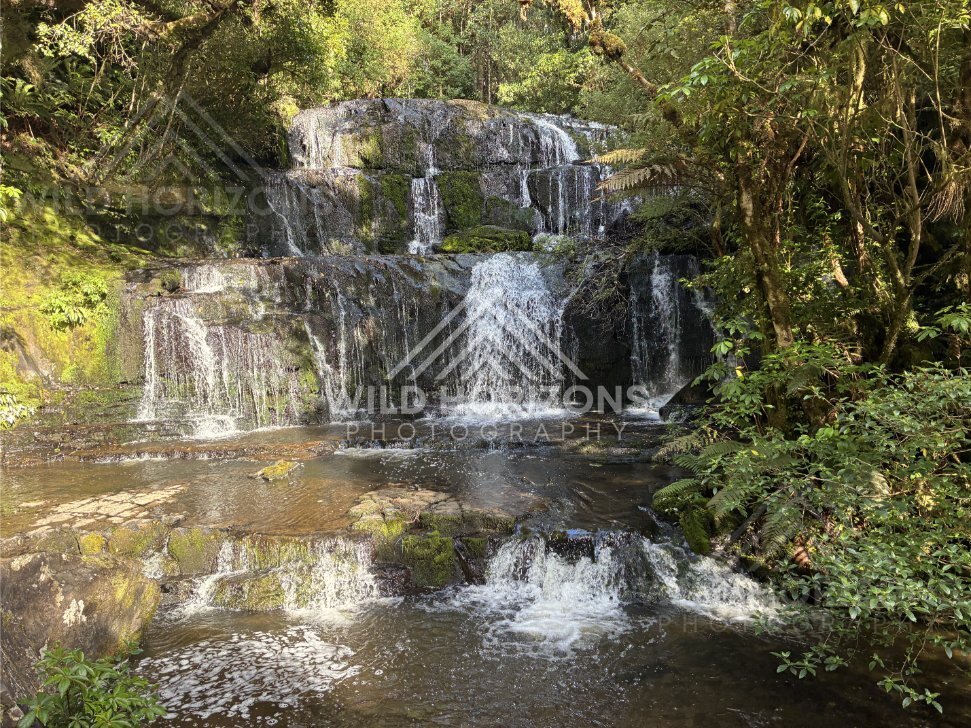 Broad rock shelf waterfall in dense native forest. Catlins Forest, New Zealand