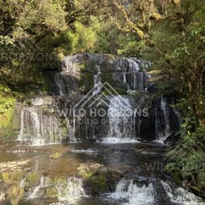 Multi-step waterfall surrounded by ferns and native trees. Catlins Forest, New Zealand