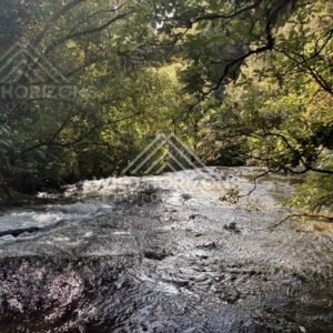 Clear stream flowing over rock shelf beneath thick forest canopy. Catlins Forest, New Zealand