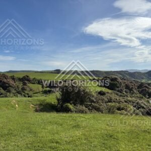 Rolling green hills and forest patches under wide sky. Catlins Region, New Zealand