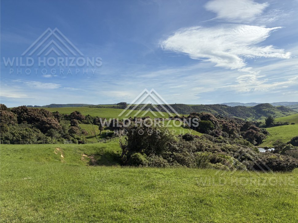 Rolling green hills and forest patches under wide sky. Catlins Region, New Zealand