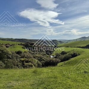 Panoramic view of farmland and forested valleys. Catlins Region, New Zealand