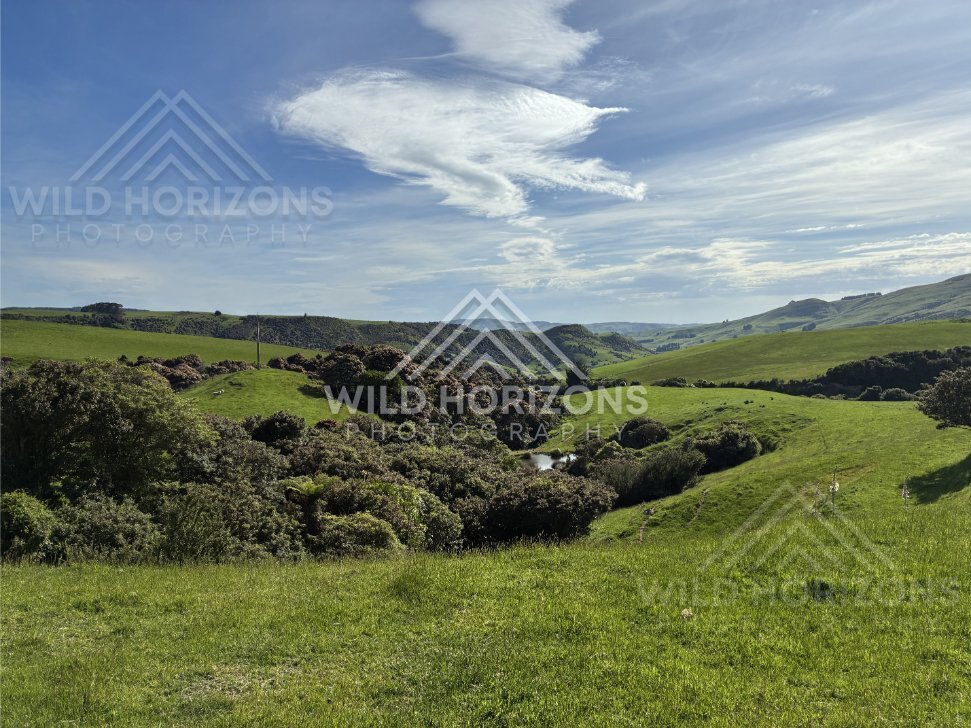Panoramic view of farmland and forested valleys. Catlins Region, New Zealand
