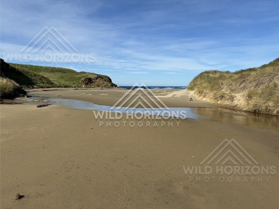 Wide sandy beach opening between grassy headlands to the ocean. Catlins Coast, New Zealand