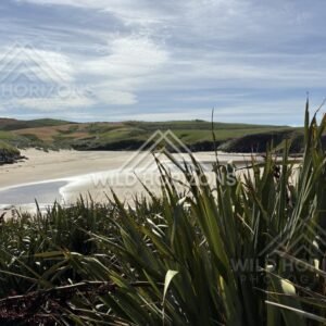 Long Empty Shoreline and Surf, The Catlins, New Zealand