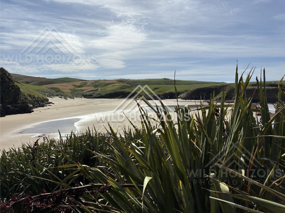 Long Empty Shoreline and Surf, The Catlins, New Zealand