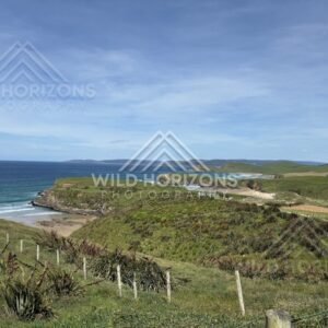 Wet Sand Reflections at Low Tide, The Catlins, New Zealand