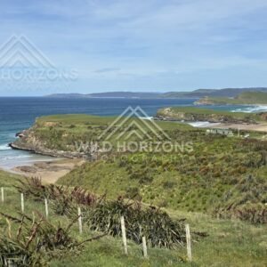 Stony Beach Margin and Surf Lines, The Catlins, New Zealand