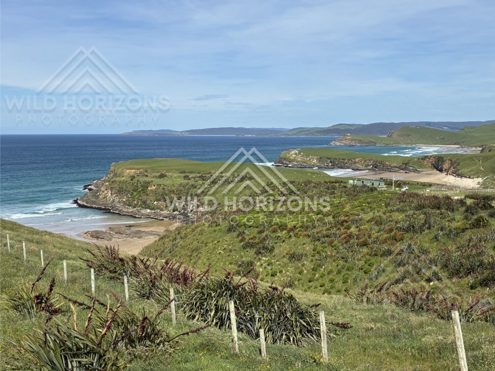 Stony Beach Margin and Surf Lines, The Catlins, New Zealand