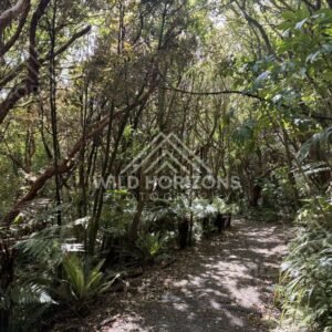 Wide Catlins Beach Under Open Sky, The Catlins, New Zealand