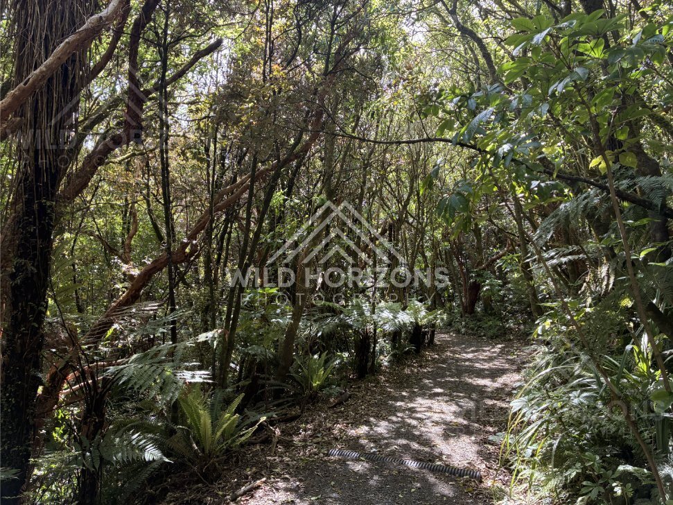 Wide Catlins Beach Under Open Sky, The Catlins, New Zealand