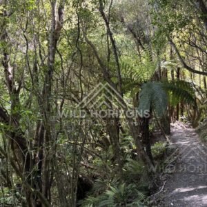 Shoreline Curve Toward Distant Headland, The Catlins, New Zealand