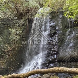 Seaweed and Drift Debris on Beach Sand, The Catlins, New Zealand