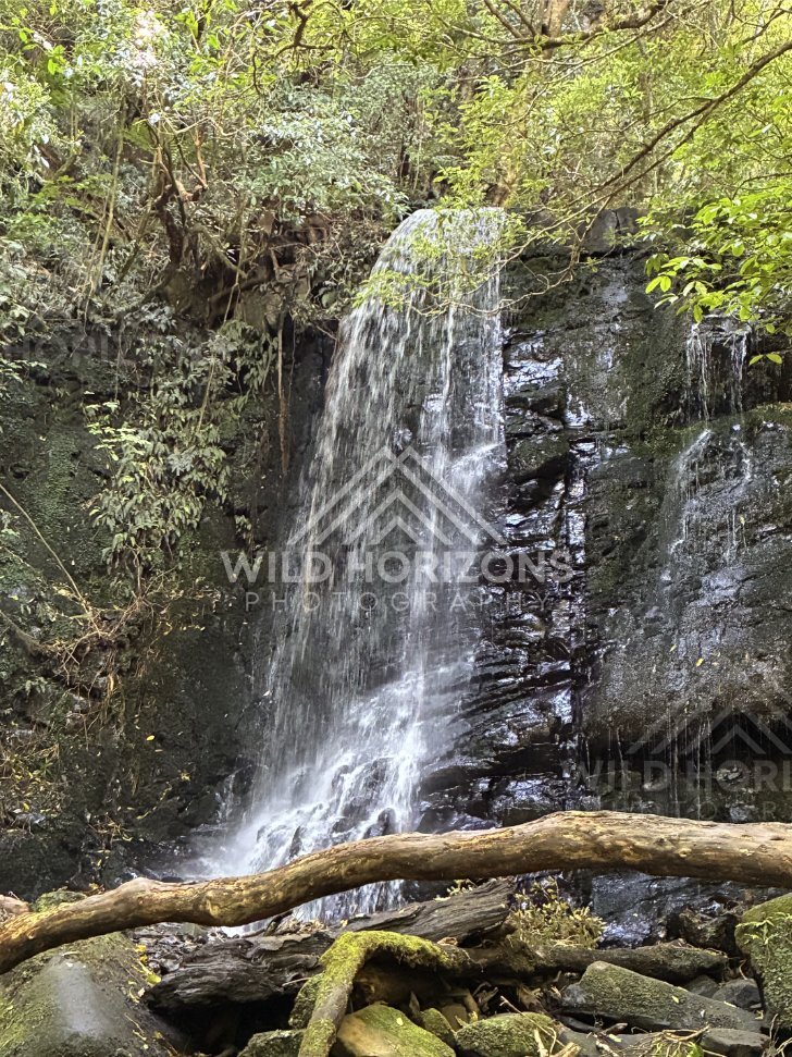 Seaweed and Drift Debris on Beach Sand, The Catlins, New Zealand