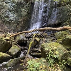 Foam Patterns Over Coastal Rocks, The Catlins, New Zealand