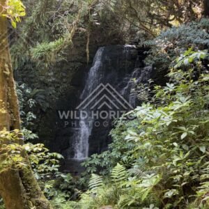 Open Horizon Over Sandy Catlins Beach, The Catlins, New Zealand