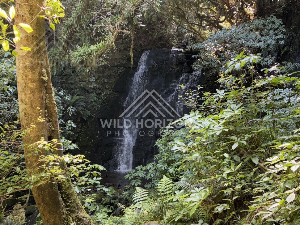 Open Horizon Over Sandy Catlins Beach, The Catlins, New Zealand
