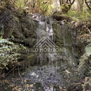 Breaking Surf on Dark Wet Sand, The Catlins, New Zealand
