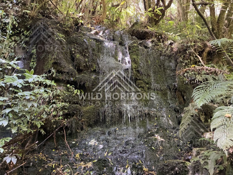 Breaking Surf on Dark Wet Sand, The Catlins, New Zealand