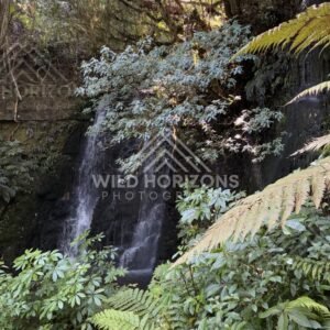 Rock-Scattered Shoreline and Gentle Swell, The Catlins, New Zealand