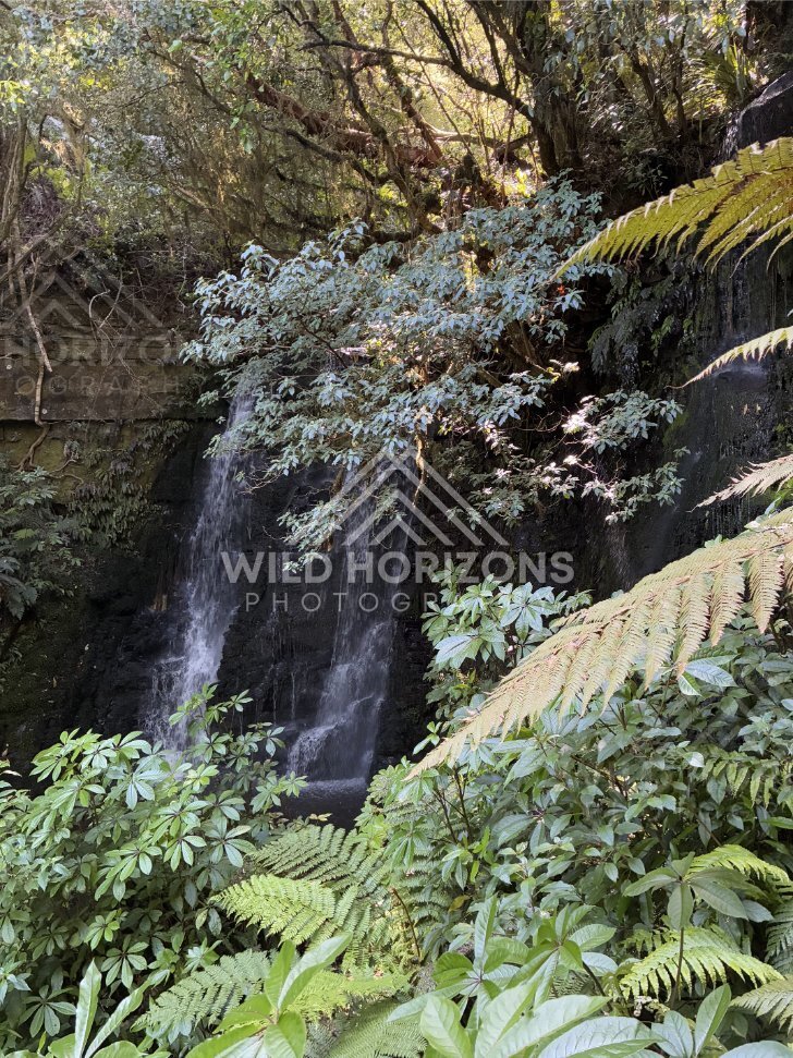 Rock-Scattered Shoreline and Gentle Swell, The Catlins, New Zealand