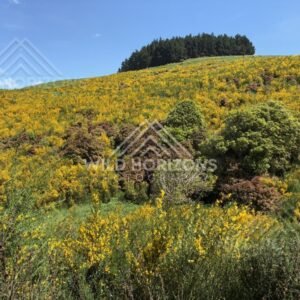Wide Beach With Repeating Surf Lines, The Catlins, New Zealand