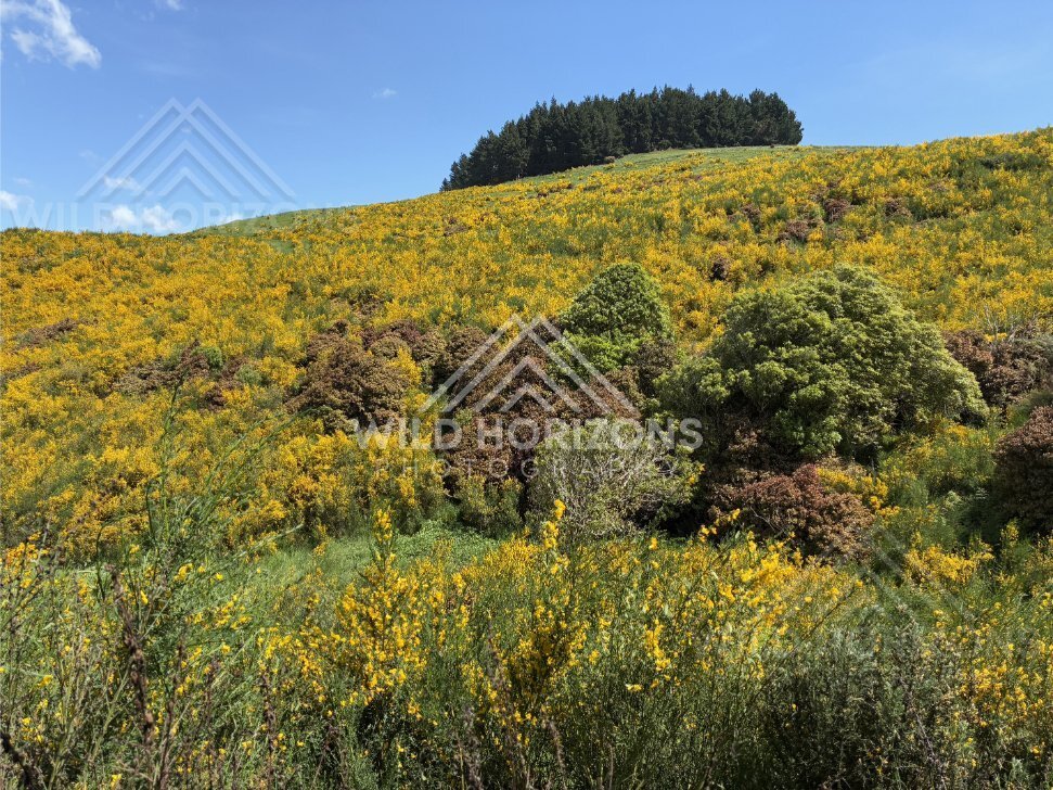 Wide Beach With Repeating Surf Lines, The Catlins, New Zealand