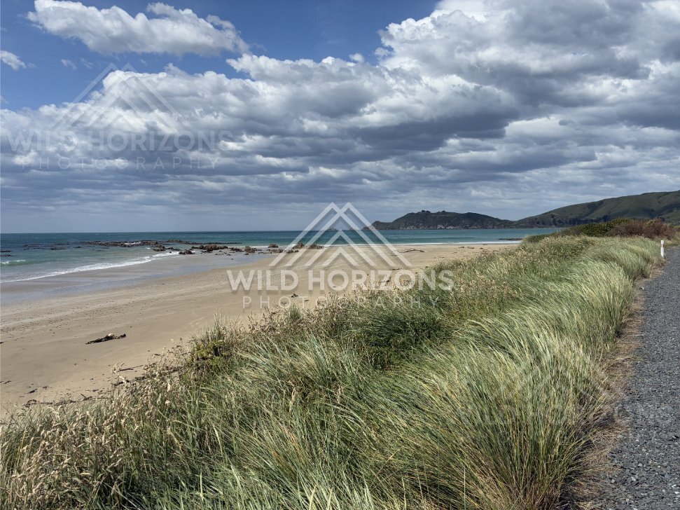 Low Dunes and Open Catlins Coastline, The Catlins, New Zealand