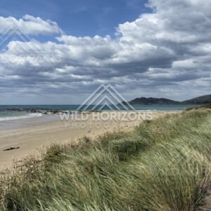 Choppy Surf Along Open Sandy Shore, The Catlins, New Zealand
