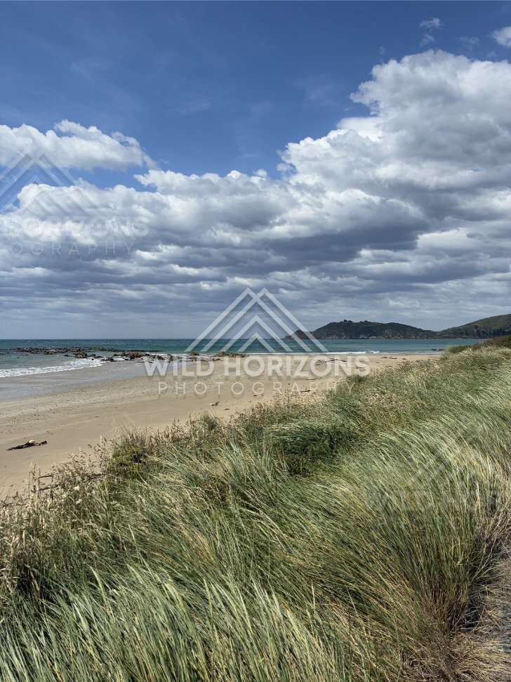 Choppy Surf Along Open Sandy Shore, The Catlins, New Zealand