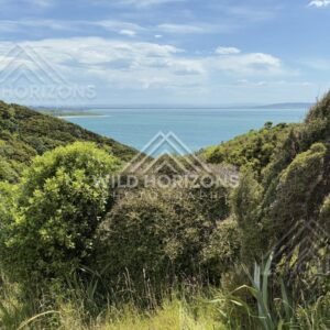 Smooth Sand and Long Wave Runs, The Catlins, New Zealand
