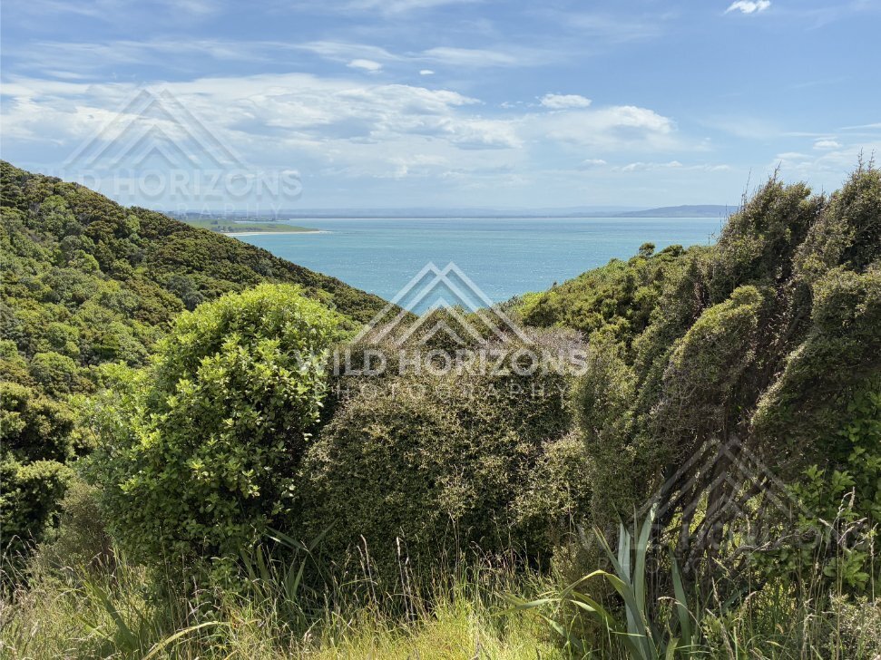 Smooth Sand and Long Wave Runs, The Catlins, New Zealand