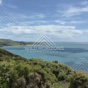 Drift Material and Shoreline Texture, The Catlins, New Zealand