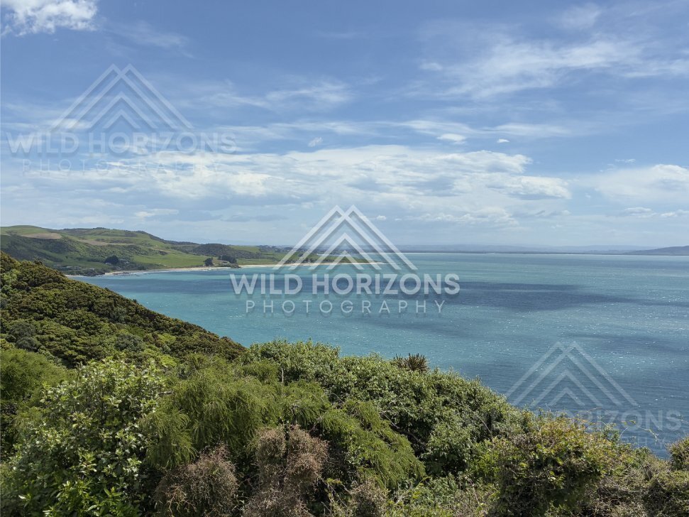 Drift Material and Shoreline Texture, The Catlins, New Zealand