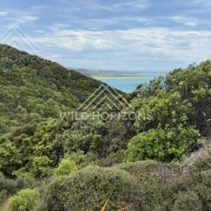 Natural Catlins Beach With Rolling Surf, The Catlins, New Zealand